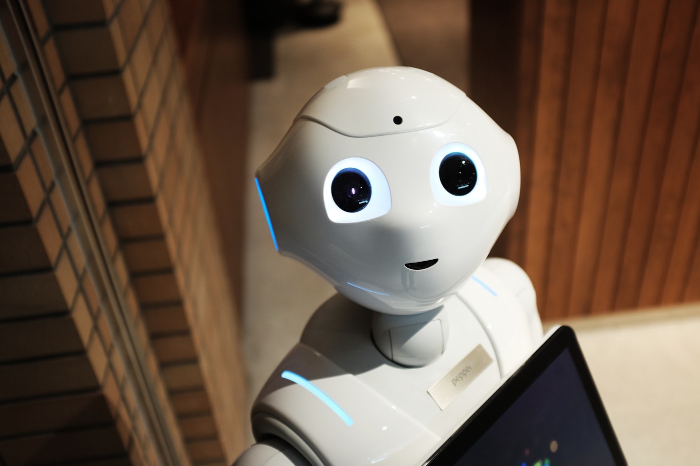 Advanced humanoid robot